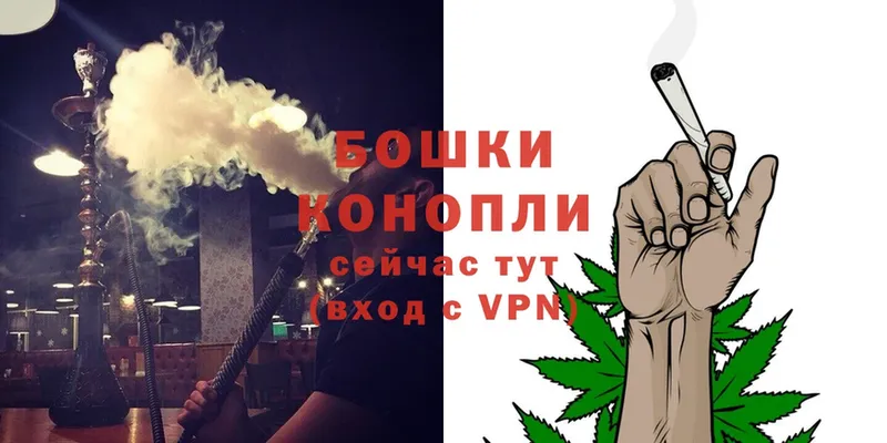 Бошки Шишки Ganja  Жиздра 